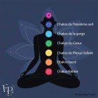 Chakras Troisième oeil, Coeur, Gorge, Plexus solaire, Sacré et Racine,