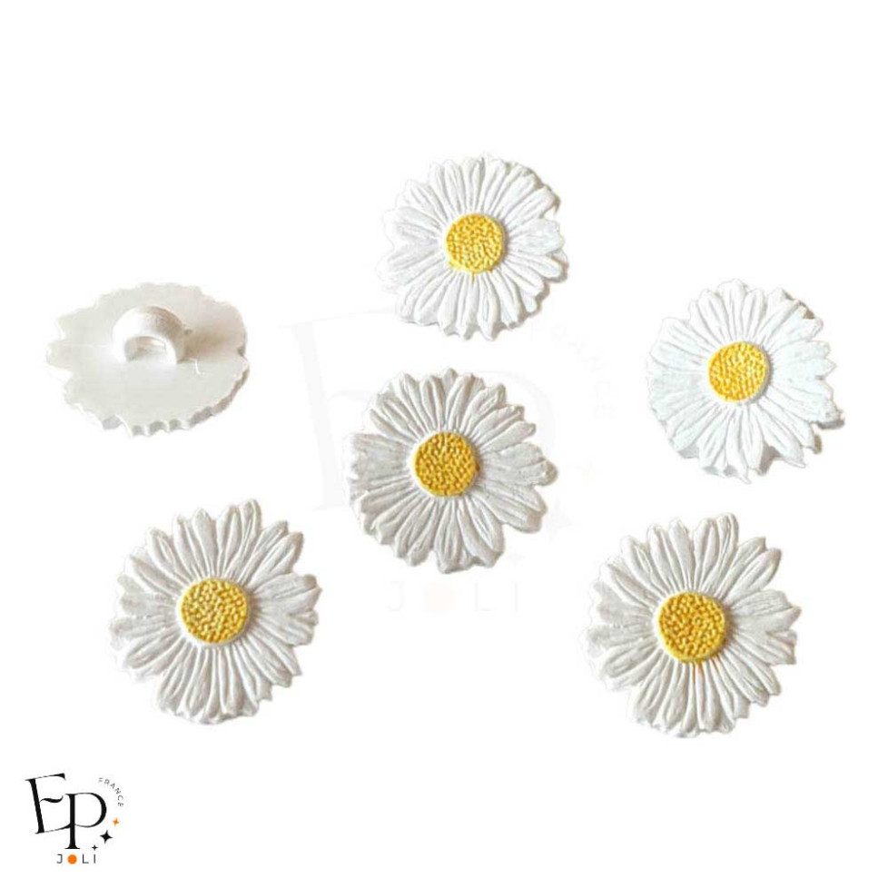 Boutons à queue Pâquerette Blanche Jaune 15 mm - face et dos